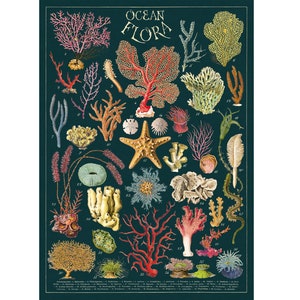 Póster de alta calidad Cavallini – Ocean Flora - Impresión de pared vintage - ¡Elija entre más de 80 diseños!