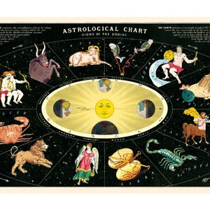 Cavallini Poster – Astrological Chart - Vintage Wall Print - Choose Multiple Designs!
