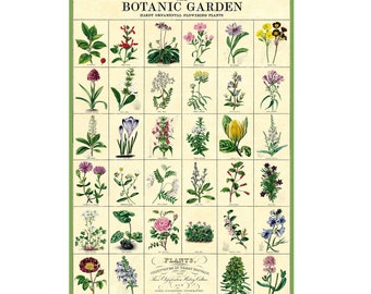 Cavallini Poster – Botanic Garden - Vintage Wall Print - Choose Multiple Designs!
