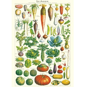 Vegetables Cavallini High Quality Poster – Le Jardin Vegetables - Vintage Wall Print - Choose Multiple Designs!