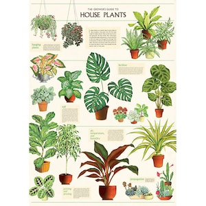 May include: A vintage-style illustrated poster titled "The Growers Guide to House Plants". The poster features various house plants in pots, with text describing different aspects of plant care, such as soil, fertiliser, air temperature, humidity, propagation, and pruning.