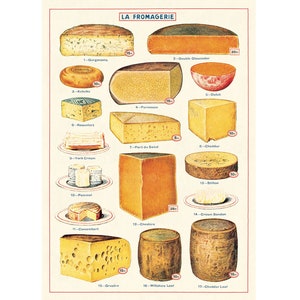 Cavallini High Quality Poster - Käse - Vintage Wanddruck 50 x 70 cm - 20x28" Großposter - Wählen Sie aus über 80 Designs!