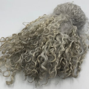 Puede incluir: Un montón de fibras de lana rizada de color gris claro. Las fibras tienen un aspecto suave y texturizado con diferentes tonos de gris y blanquecino. La lana parece sin procesar y adecuada para manualidades como el hilado o el fieltrado.
