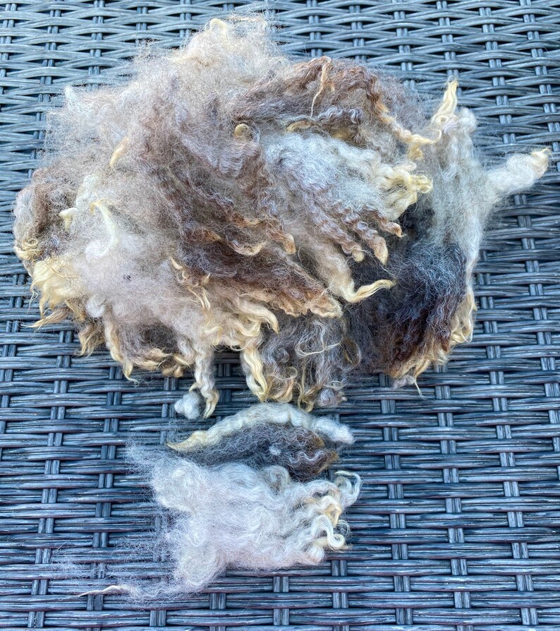 Natural Washed Leicester Longwool x Corriedale Locks 50g ...