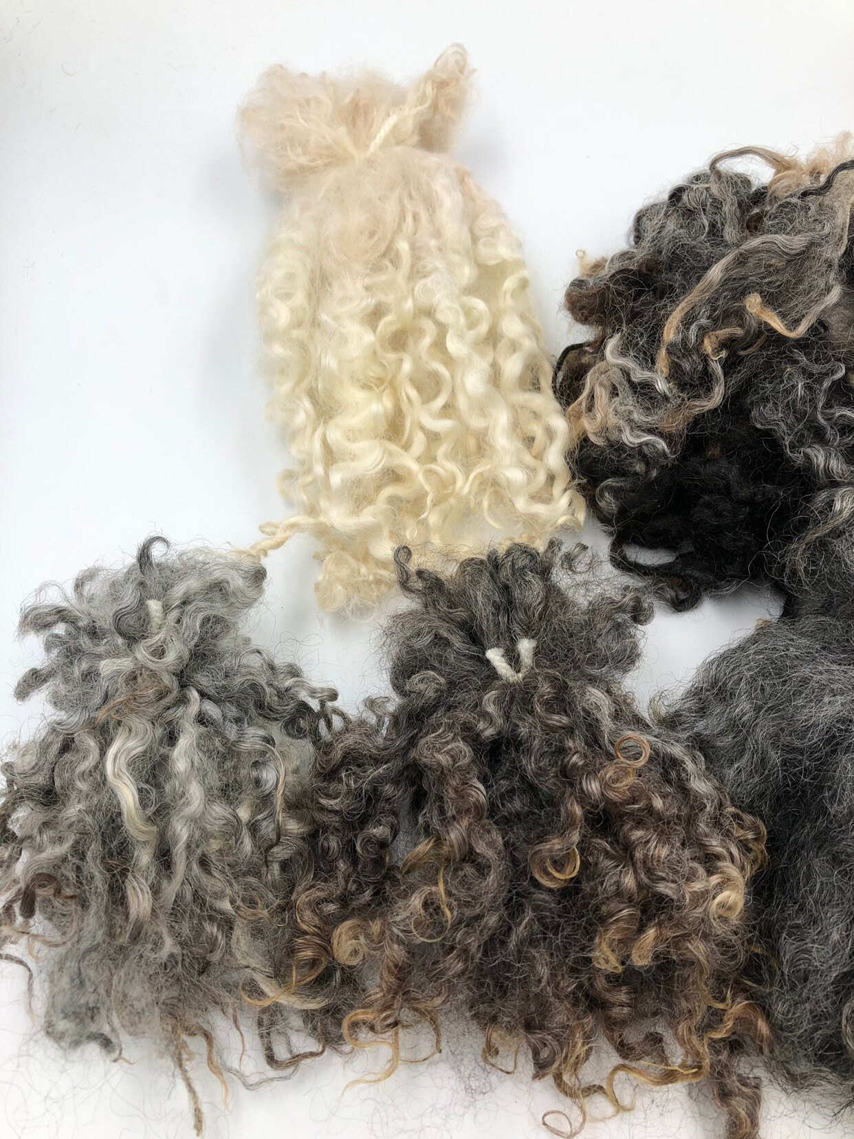 Teint Locks 100gs British Wool Masham Wensleydale Teeswater BFL Leicester Dales