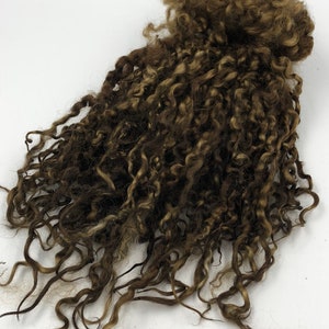 May include: A large clump of brown curly wool fibre. The wool is soft and fluffy, and it is perfect for spinning or felting.