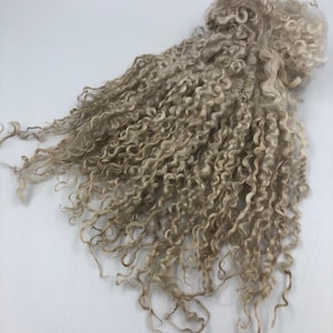 Hand Dyed Light Beige Teeswater Locks, 50g