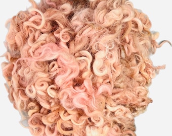 Hand Dyed “Vintage Fall“ Devon & Cornwall Lamb Longwool Locks, 50g