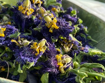 Passion  Flower | Dried Flowers | Apothecary | Chonteaus Creations | Craft Flowers |Hoodoo | Herbs