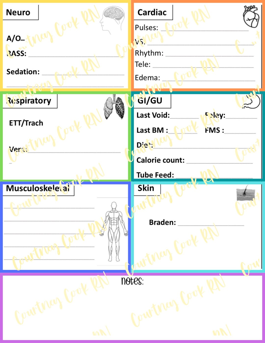Head to Toe Assessment Sheet - Etsy