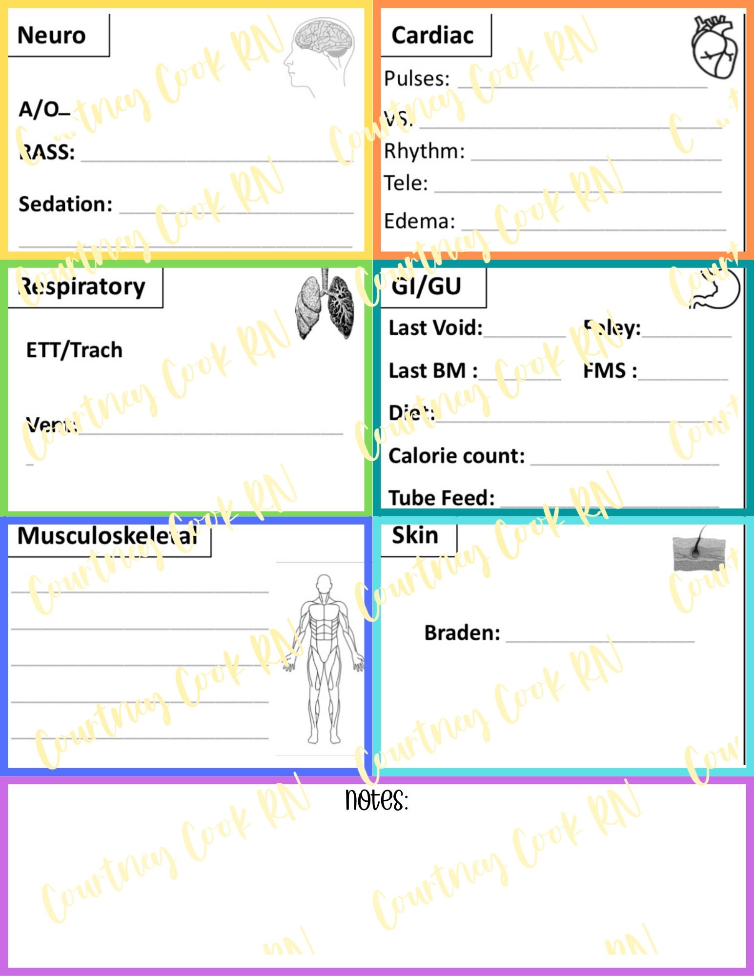Head to Toe Assessment Sheet - Etsy