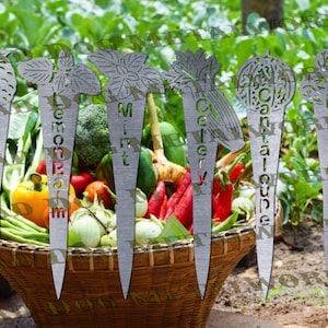 Op de afbeelding: Set van zeven metalen tuinmarkeringen met decoratieve uitsnijdingen en plantennamen. De markeringen zijn gelabeld: Braam, citroenmelisse, munt, selderij, cantaloupemeloen en spruitjes.