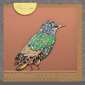 Starling, fauna, uccelli, uccello saluto carta