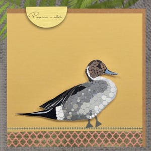 carta di fauna selvatica, cartolina d'auguri di anatra, anatra codone, carte di natura