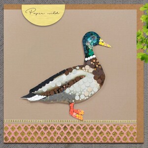 Drago germano reale, carta animale, carta natura, fauna selvatica