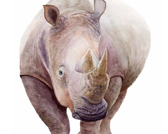 Rhinoceros Watercolor Painting: Wildlife Fine Art (10x14 inches)