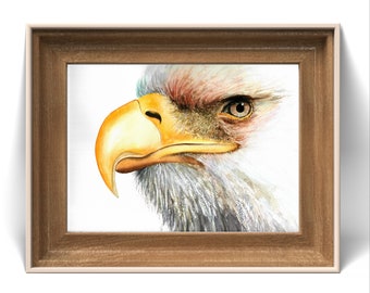 Eagle Watercolor Art Print: Naturalistic Wildlife Wall Decor