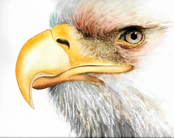 White Eagle Watercolor Painting: Naturalistic Wildlife Art