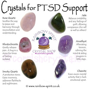 Op de afbeelding: Een assortiment kristallen ter ondersteuning van PTSS, waaronder rozenkwarts, rhodochrosiet, rookkwarts, jade, amethist en charoiet. Elk kristal is voorzien van een label met de naam en een beschrijving van de helende eigenschappen. De kristallen zijn gerangschikt op een witte achtergrond met de tekst "Kristallen ter ondersteuning van PTSS" en "Rainbow Spirit Crystal Shop" bovenaan.