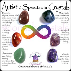 May include: An image showcasing a collection of polished crystals, each with a unique color and texture. The crystals are arranged around a colorful infinity symbol. Text on the image identifies each crystal type, including Muscovite, Carnelian, Moss Agate, Amethyst, Aventurine, and Charoite.
