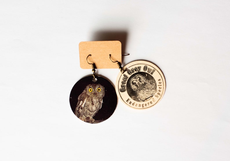 Grey Owl Pog Earrings image 1