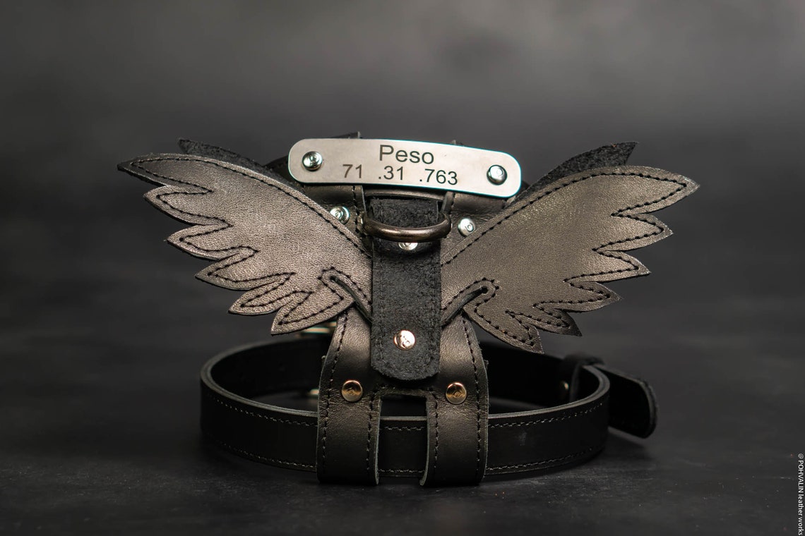 Leather dog harness with wings Etsy