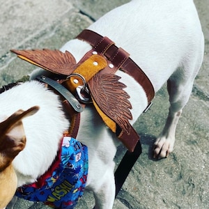 Personalized dog harness, leather dog harness and leash set with tag gift for dog