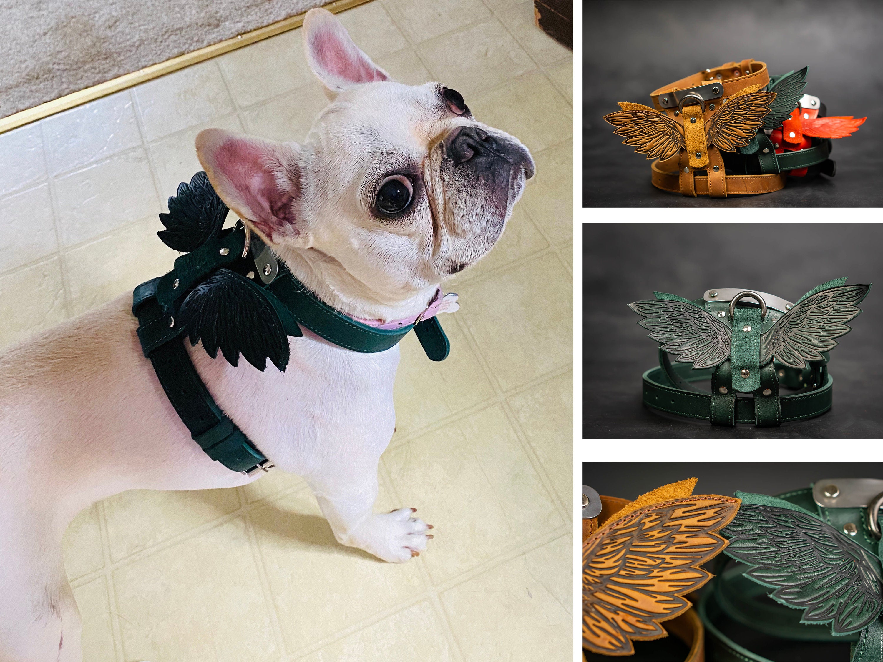Etsy dog harness and cheap leash