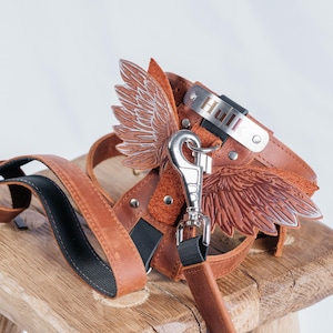 Dog harness with tag, leather harness with leash set