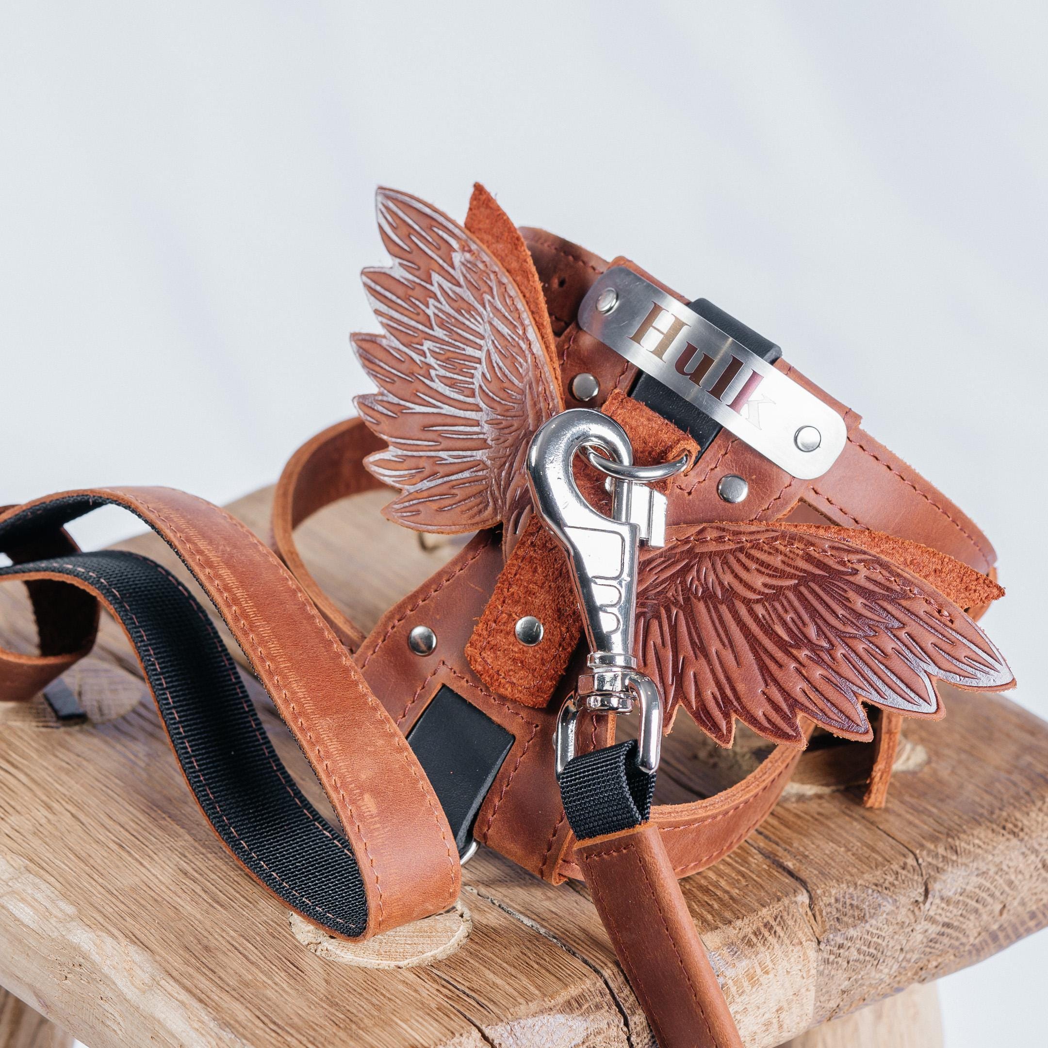 Leather Dog Harness with Wings & Leash Set: Personalized Pet Tag