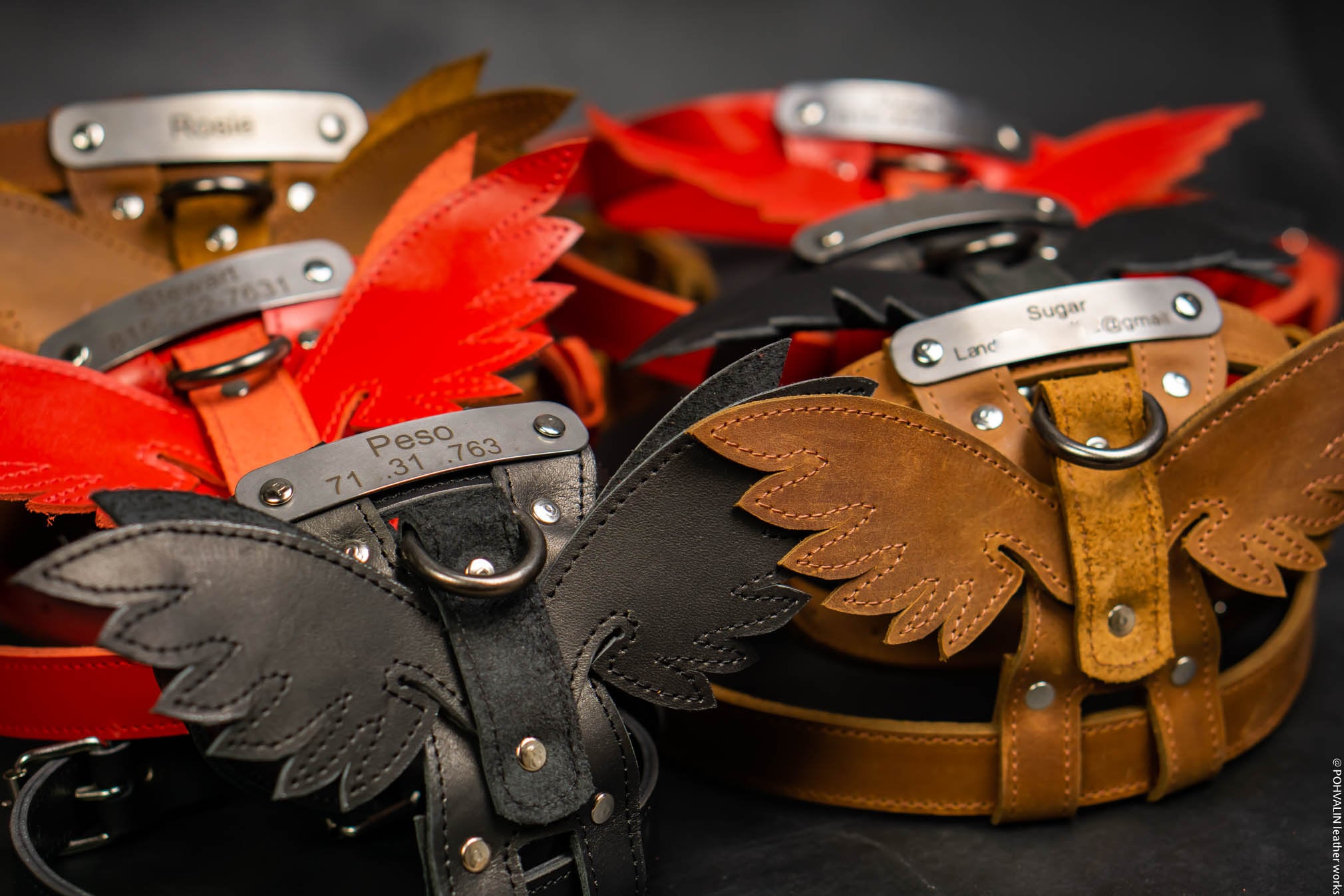 Niels peeraer wings top leather dog harness