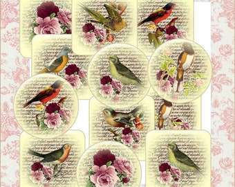 Feuille de collage d’oiseaux en téléchargement numérique