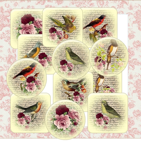 Digital Download Birds Collage Sheet