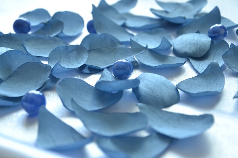 dusty blue rose petals