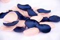 Navy Blue, Blush Pink Rose Petals/Blush Pink, Navy Blue decor/Table decor/Bridal shower decor/Baby shower/Mixed flower petals/Embellishments product logo