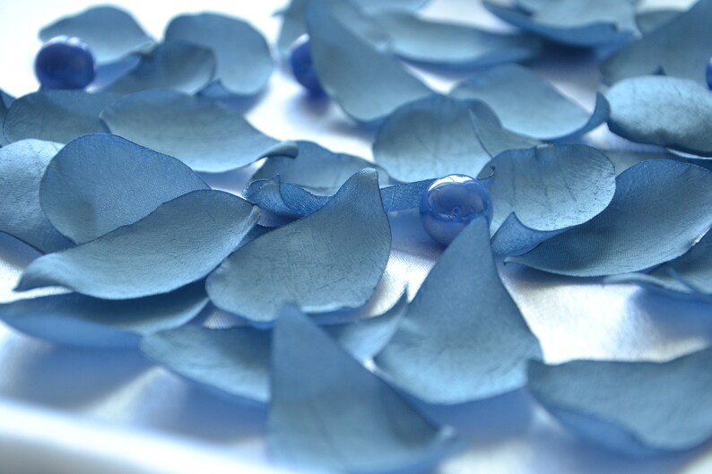 dusty blue rose petals