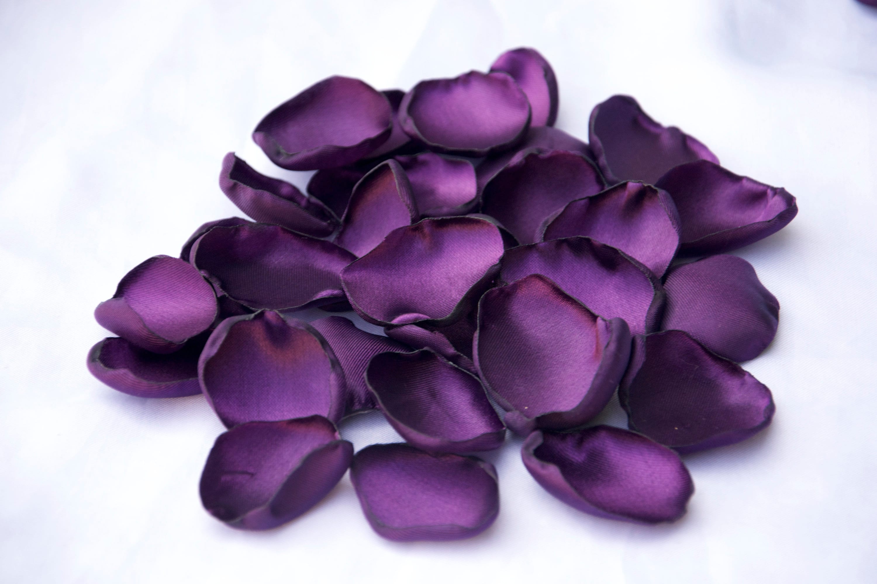Plum Rose Petals/Deep Purple Flower Supply/Plum Wedding Decor/ | Etsy