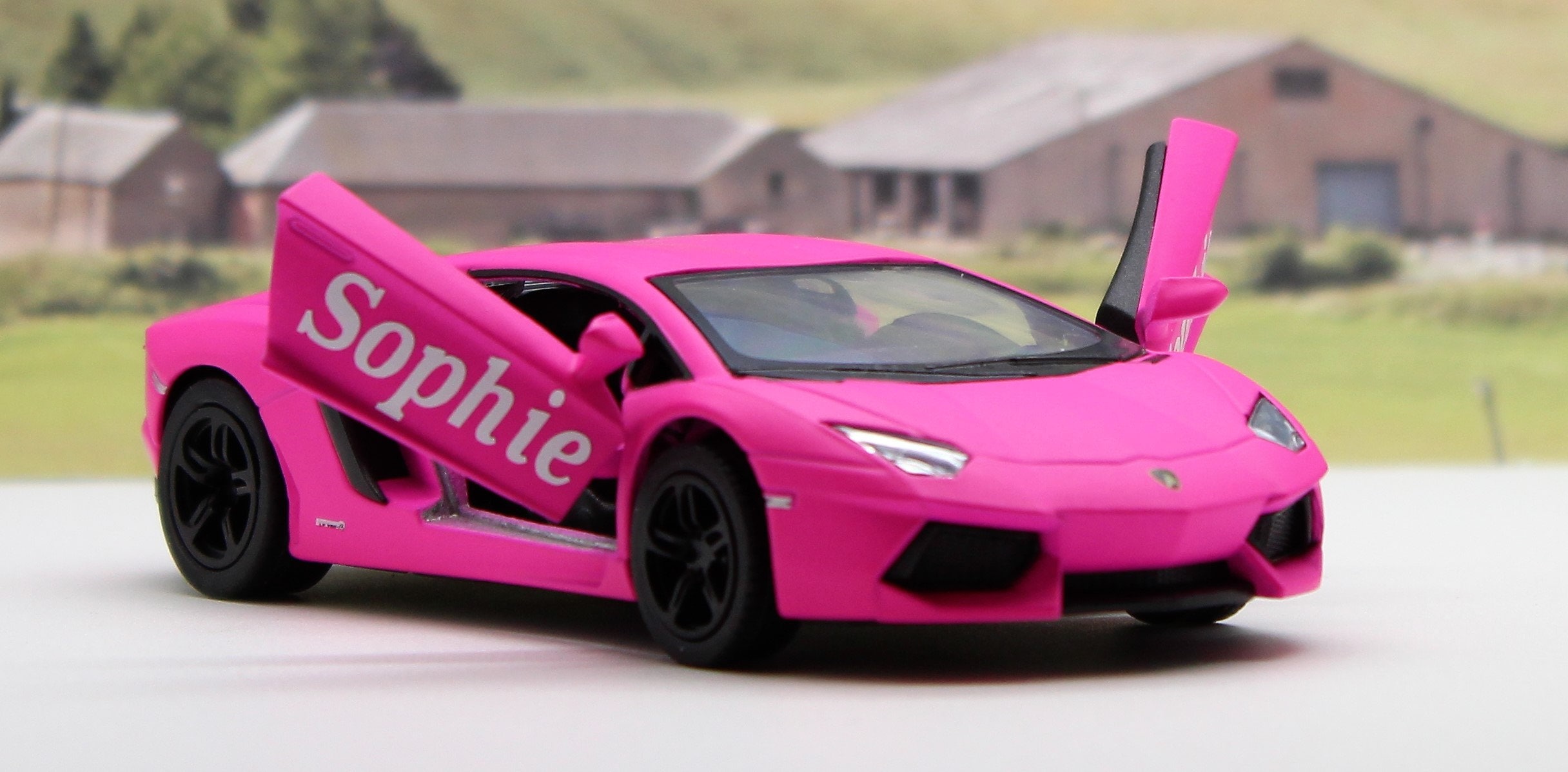 pink toy lamborghini