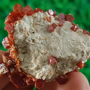 AMAZING Vanadinite on Matrix from Morocco,Crystal, Mineral,Specimen,Cluster,Vanadinite Crystal,Vanadinite,Geology,Vanadinite Crystal,Red