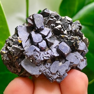 Skeletal Galena with Sphalerite from 9th Septemvri mine (Deveti Septemvri mine),Madan ore field,Rhodope Mts,Smolyan Oblast,Bulgaria, Mineral
