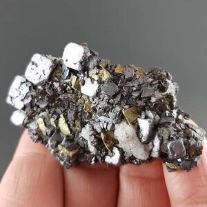 Sphalerite with Galena,Pyrite,Chalcopyrite and Quartz from 9th September mine Madan ore field Smolyan Oblast Rhodope Mts Bulgaria