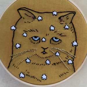 Magic cat embroidery kit