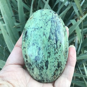 May include: A polished, oval-shaped stone with a mottled green and black pattern. The stone is held in a hand, with a background of green foliage. The stone's surface has a glossy finish.