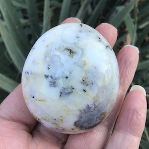 May include: A smooth, oval-shaped stone with a white base, accented by pale yellow, gray, and black inclusions. The polished surface reflects light, and the stone is held in a hand against a backdrop of green foliage.