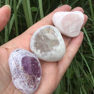 May include: A hand holds four polished stones: a heart-shaped rose quartz, a clear quartz, and two oval-shaped stones with purple and gray hues. The stones are smooth and have a natural, organic appearance. The background features green foliage.
