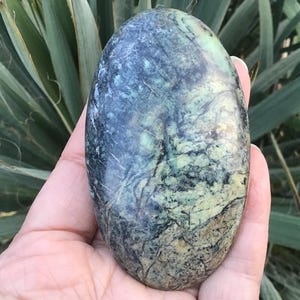 May include: An oval-shaped stone with a mottled pattern of blue, green, and black. The stone is smooth and polished, with a natural, organic appearance. The stone is held in a hand, with green foliage in the background.