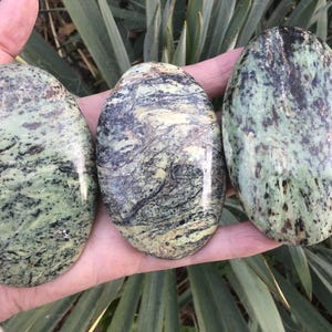 May include: Three oval-shaped stones with a polished finish. The stones display a mix of green, black, and gray patterns, with a speckled appearance. The stones are held in a hand, with green foliage in the background.