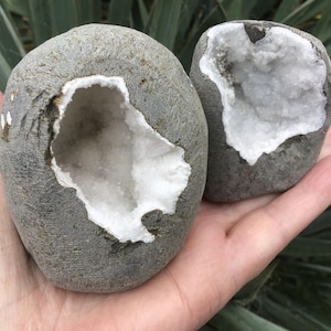 May include: Two gray, oval-shaped rocks with a hollowed-out center filled with white crystals. The rocks are held in a hand, with green foliage in the background. The rocks are a natural, earthy product.