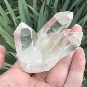 Triple Point Quartz Crystal Cluster 2.75”