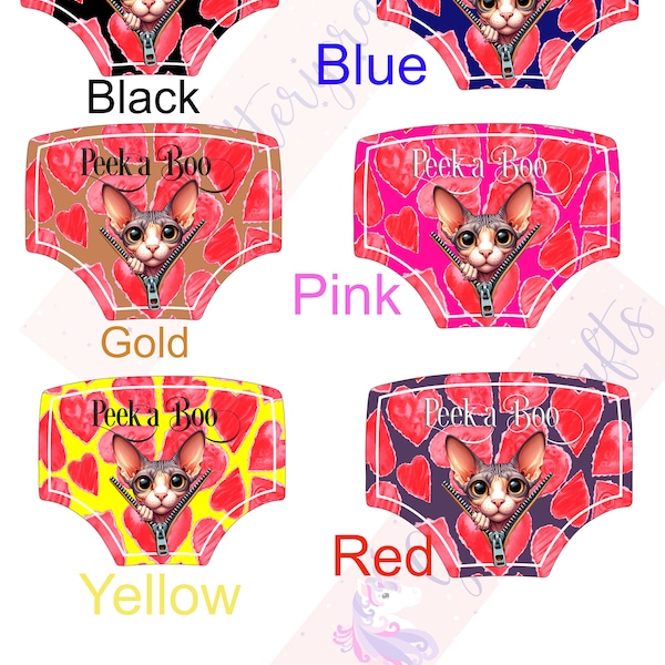 Pants/knickers novelty keyrings